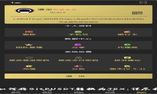 : 如何将BitPUSDT转换为TRX：详尽指南