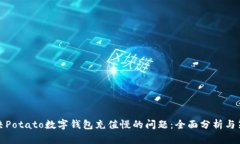解决Potato数字钱包充值慢的问题：全面分析与策
