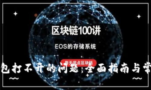 解决BitP钱包打不开的问题：全面指南与常见问题解析