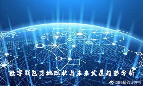数字钱包落地现状与未来发展趋势分析