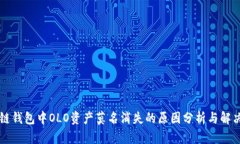 区块链钱包中OLO资产莫名消失的原因分析与解决