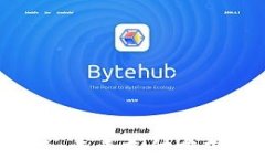 数字钱包2级：未来支付方式的智能选择