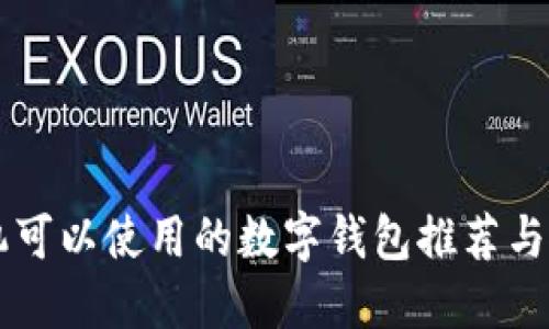 苹果手机可以使用的数字钱包推荐与使用指南