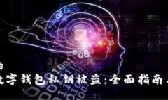 思考一个的  如何防范数字钱包私钥被盗：全面指
