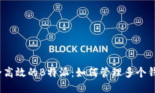 安全高效的B特派：如何管理多个钱包？