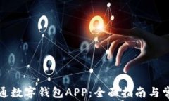 如何申请开通数字钱包APP：全面指南与常见问题