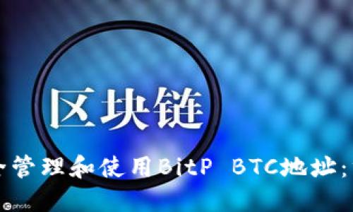 如何安全管理和使用BitP BTC地址：终极指南