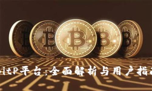 BitP平台：全面解析与用户指南