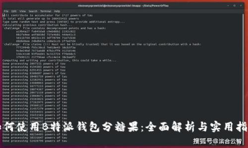 如何使用B特派钱包分糖果：全面解析与实用指导