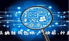 深入解析区块链钱包账户：功能、种类与安全性