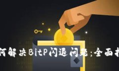 如何解决BitP闪退问题：全面指南