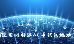 如何正确使用比特派AE币钱包地址：全面指南