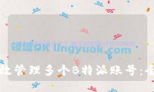 如何高效管理多个B特派账号：全面指南