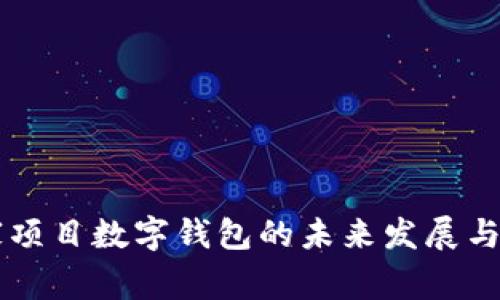 国家项目数字钱包的未来发展与应用