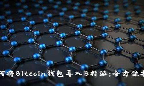 如何将Bitcoin钱包导入B特派：全方位指南