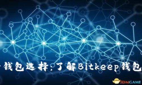 比特流行钱包选择：了解Bitkeep钱包的替代品