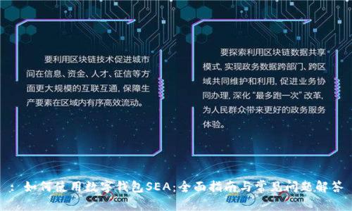 : 如何使用数字钱包SEA：全面指南与常见问题解答