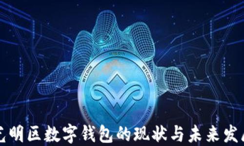 深圳光明区数字钱包的现状与未来发展探究