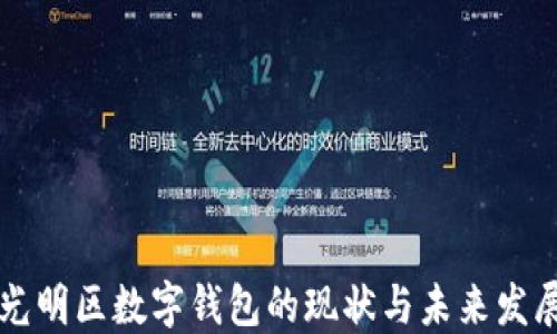 
深圳光明区数字钱包的现状与未来发展探究