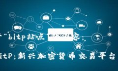 下面是关于“bitp站点”的内容：深入了解BitP：新