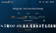 深入了解BitP KYC：流程、重要性与常见问题解答