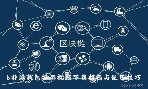  b特派钱包操作视频下载指南与使用技巧 