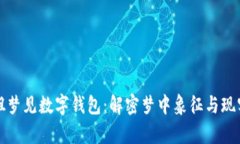 小姐姐梦见数字钱包：解密梦中象征与现实启示