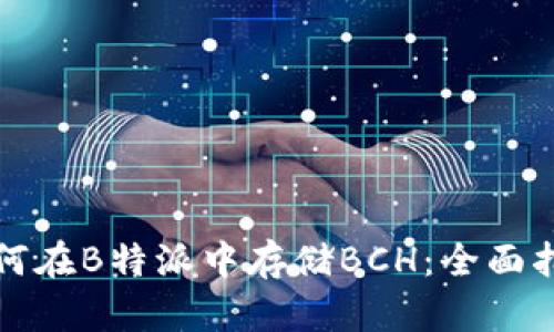 如何在B特派中存储BCH：全面指南
