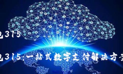 数字钱包315

数字钱包315：一站式数字支付解决方案的崛起