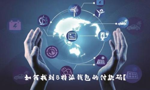 如何找到B特派钱包的付款码？