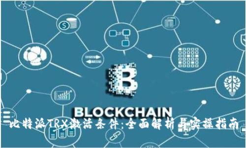 比特派TRX激活条件：全面解析与实操指南