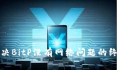 如何解决BitP没有网络问题的终极指南