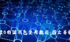 全面解读B特派钱包使用教程：图文并视听指南