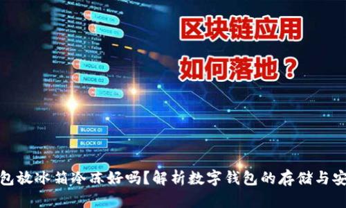 数字钱包放冰箱冷冻好吗？解析数字钱包的存储与安全策略