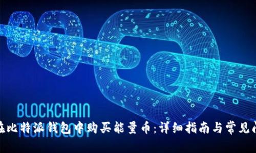 : 如何在比特派钱包中购买能量币：详细指南与常见问题解答