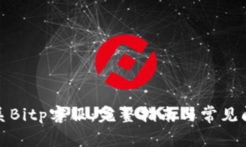 如何联系Bitp客服：完整指南与常见问题解答