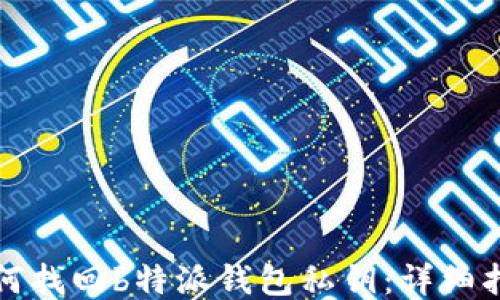 
如何找回b特派钱包私钥：详细指南