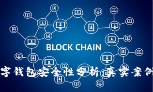 飞机上的数字钱包安全性分析：真实案例与保护措施