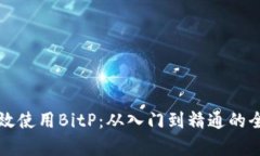 如何有效使用BitP：从入门到精通的全面指南