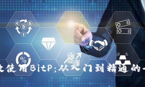 如何有效使用BitP：从入门到精通的全面指南