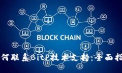 如何联系BitP技术支持：全面指南