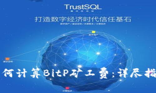 如何计算BitP矿工费：详尽指南