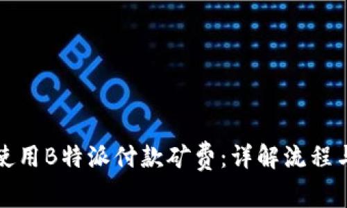 如何使用B特派付款矿费：详解流程与技巧