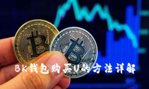 BK钱包购买U的方法详解