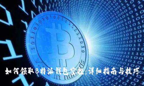 如何领取B特派钱包空投：详细指南与技巧