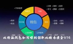 比特派钱包如何顺利领取比特币黄金BTG