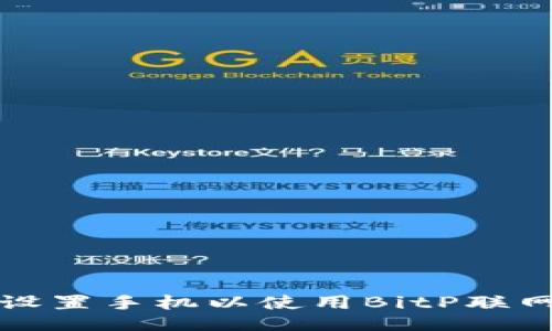 如何设置手机以使用BitP联网模式