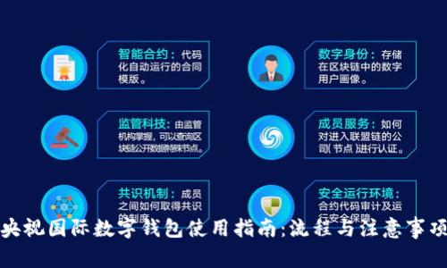 央视国际数字钱包使用指南：流程与注意事项