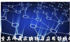 比特派：探索其所属区块链与应用领域的深入分