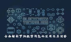 全面解析罗湖数字钱包的使用及其优势